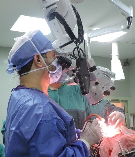 sphenoidal meningioma